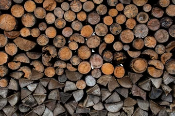 Möbelaufkleber wood © Daniel