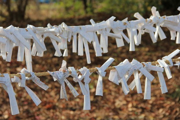 日本の風景　紐に結び付けられた無数のおみくじ