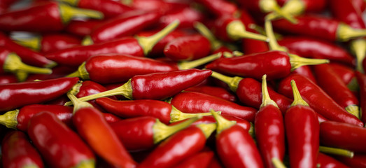 Pile of Fresh and Ripe Red Hot Chilis. Top view. Chili Saltillo (Capsicum Annum)