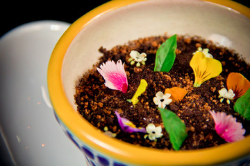 Fine dining chocolate cheesecake and edible flowers