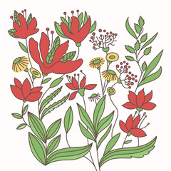 Illustration of flowers and herbs