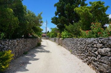 the traditional landscape of taketomi island, JAPAN