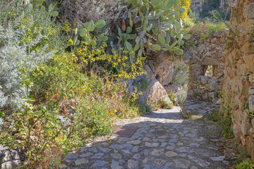 Taormina - The path among the spring mediterranean flowers.