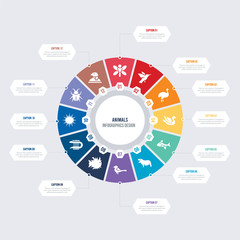 round 12 options animals infographic template design. mole, beetle, sea urchin, moray, globe fish, sparrow vector icons