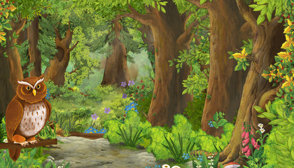 cartoon summer scene with bird eagle with path in the forest - nobody on scene - illustration for children