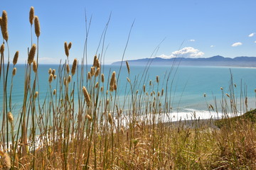 Cape Palliser view landscape with sea, mountains and long grass in the front