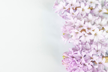 Romantic beautiful delicate soft color flowers for a wedding background. Spring flowers lilac hyacinths close up on a white surface, free space for text. 