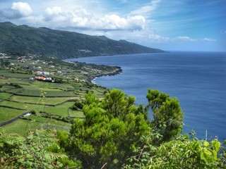 panoramic view of the bay