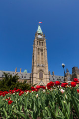 Canada's Parliament on a sunny day