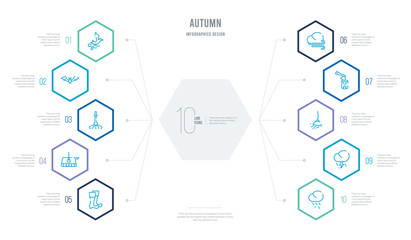 autumn concept business infographic design with 10 hexagon options. outline icons such as rain, storm, broom, woodcutter, windy, picnic basket