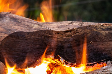 wood burning in campfire on bricks 2