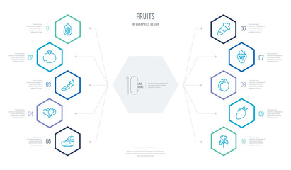 fruits concept business infographic design with 10 hexagon options. outline icons such as parsley, mango, peach, strawberry, carrot, lettuce