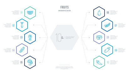 fruits concept business infographic design with 10 hexagon options. outline icons such as pepper, eggplant, cabbage, peas, pear, courgette