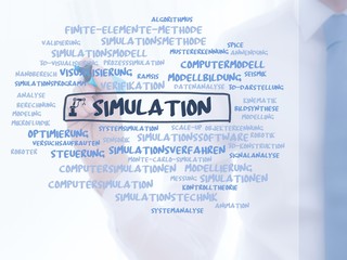 Simulation