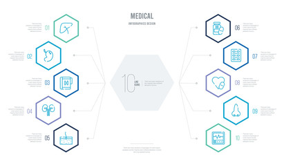 medical concept business infographic design with 10 hexagon options. outline icons such as cardiogram, nose, antibiotic, pill, drugs, kidney