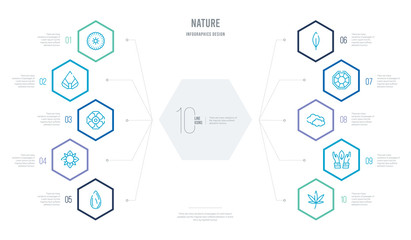 nature concept business infographic design with 10 hexagon options. outline icons such as hemp, save nature, clouds, gemstone, acicular, alstroemeria