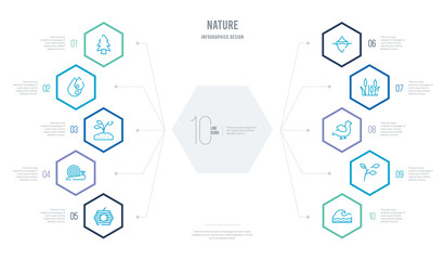 nature concept business infographic design with 10 hexagon options. outline icons such as waves, branch, bird, reed, iceberg, snail