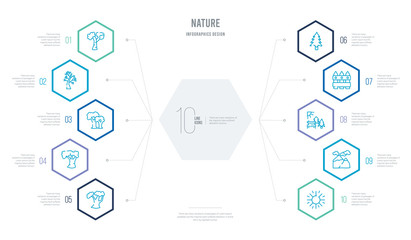 nature concept business infographic design with 10 hexagon options. outline icons such as sun flare, snowed mountains, sunny park, picket fence, arborvitae tree, white ash tree