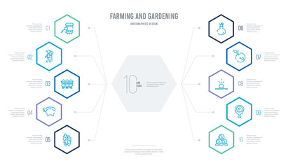 farming and gardening concept business infographic design with 10 hexagon options. outline icons such as hay roll, meat, sprinkler, pickup, vegetable, sheep