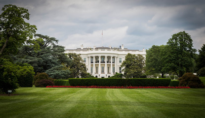 white house in the park DC - obrazy, fototapety, plakaty