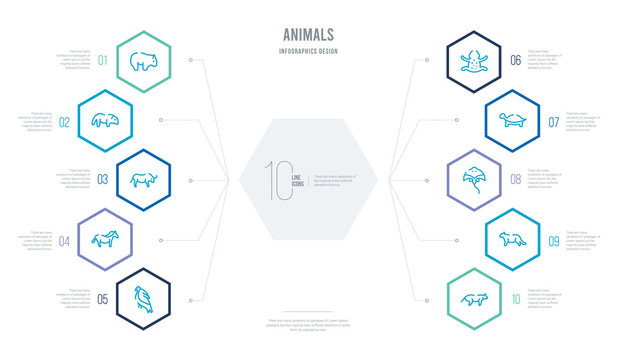animals concept business infographic design with 10 hexagon options. outline icons such as siberian tiger, snow leopard, stingray, tortoise, tropical frop, wild horse