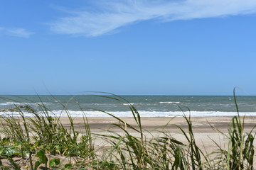 Fototapeta na wymiar Grass, beach and blue sky