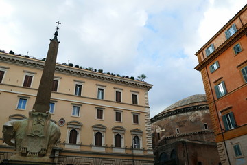 Fototapeta na wymiar piazza della minerva,roma,italia