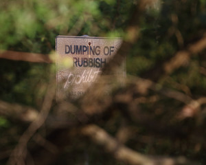 No Dumping sign obscured by trees