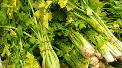 Obraz premium OLYMPUS DIGITAL CAMERA