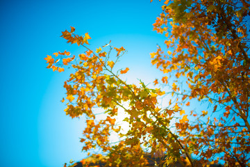 Tourists destination Barcelona, Spain. Barcelona is known as an Artistic city located in the east coast of Spain..