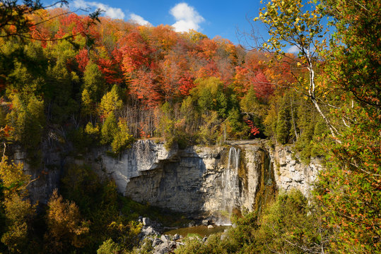 Eugenia Falls on the Beaver river Ontario Canada with Fall trees in color