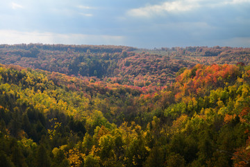 Fototapeta na wymiar Forest with Fall colors at Eugenia Gorge Beaver Valley Ontario Canada