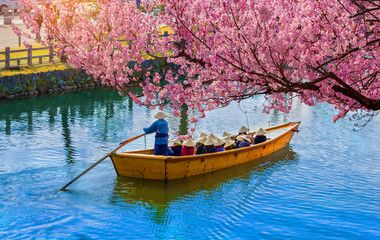 Cherry blossom.Tourist cruise on the canal around himeji castle in hyogo, Himeji-Jo Castle is famous travel spot in kansai area in Japan.