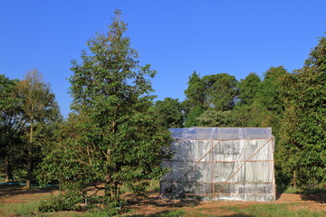 The outside greenhouse with trees and blue sky in Thailand