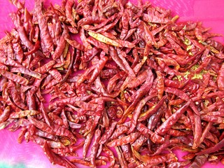red dry chili in the plate 