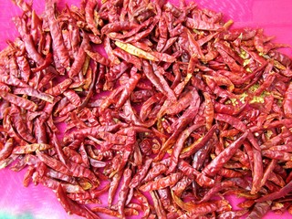 Fototapeta premium red dry chili in the plate 