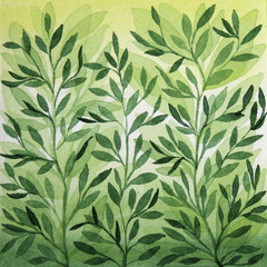 Watercolor hand-drawn illustration green leaves and flowers