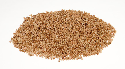 White Pepper 