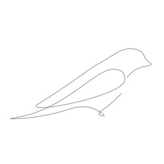 Bird on white background vector illustration	