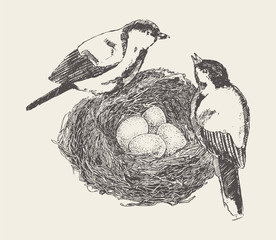 Bird in nest with chicks. Hand drawn vector sketch