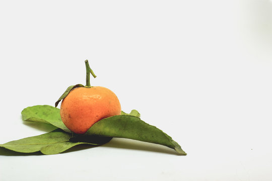 mini oranges that is always present in the Chinese New Year event