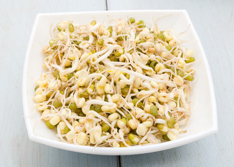 seedlings vegetarian food in bowl