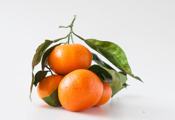 Mandarins on a branch with green leaves