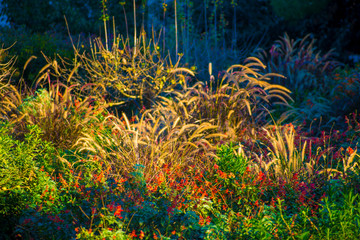 Obraz premium Tourists destination Barcelona, Spain. Barcelona is known as an Artistic city located in the east coast of Spain..