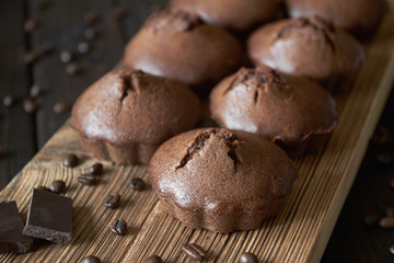 A group of homemade chocolate muffins on a wooden board with coffee beans and pieces of chocolate. Dark wooden background, closeup, selective focus