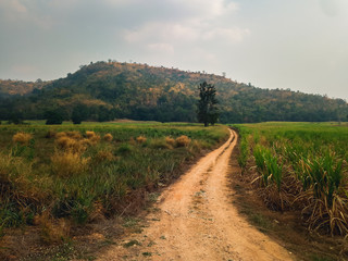Landscape of dirt countryside dirt road