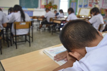 The students sitting in the back of the room were sleeping while other students were studying