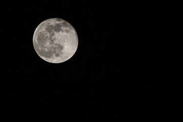 Mond