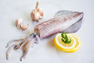 Raw squid on ice with salad spices lemon garlic on white plate background - fresh squids octopus or...