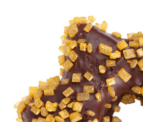 Chocolate cookie for christmas on white